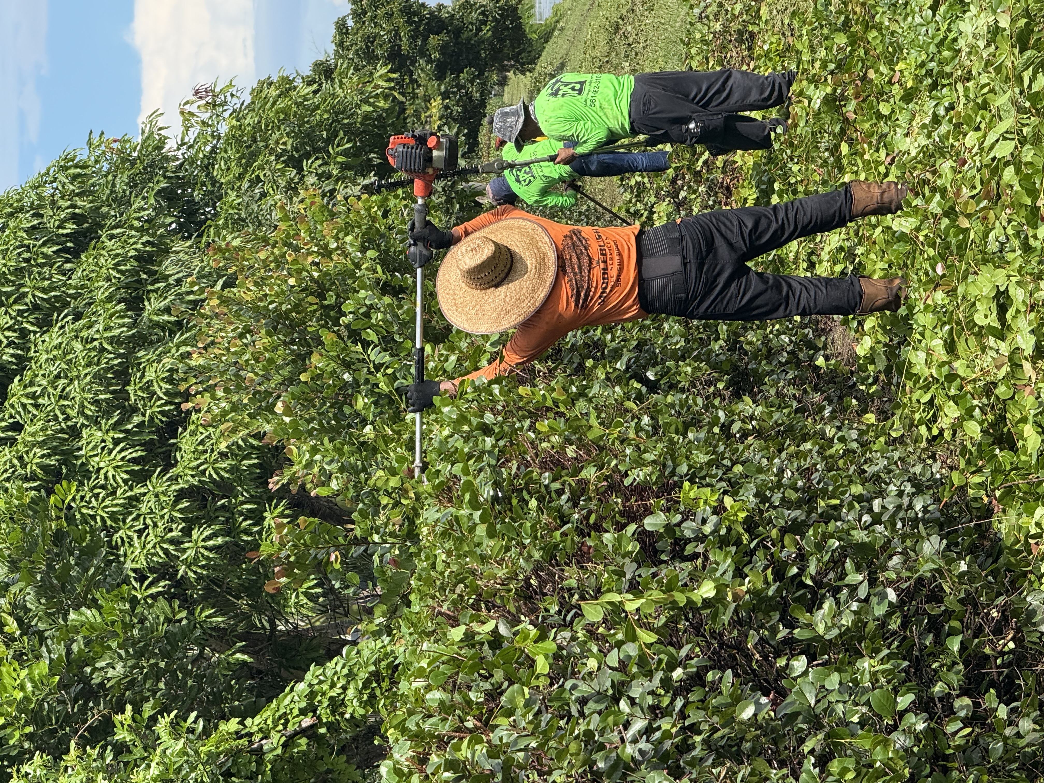 SPS crew trimming and shaping large hedges at a commercial property in Palm Beach County