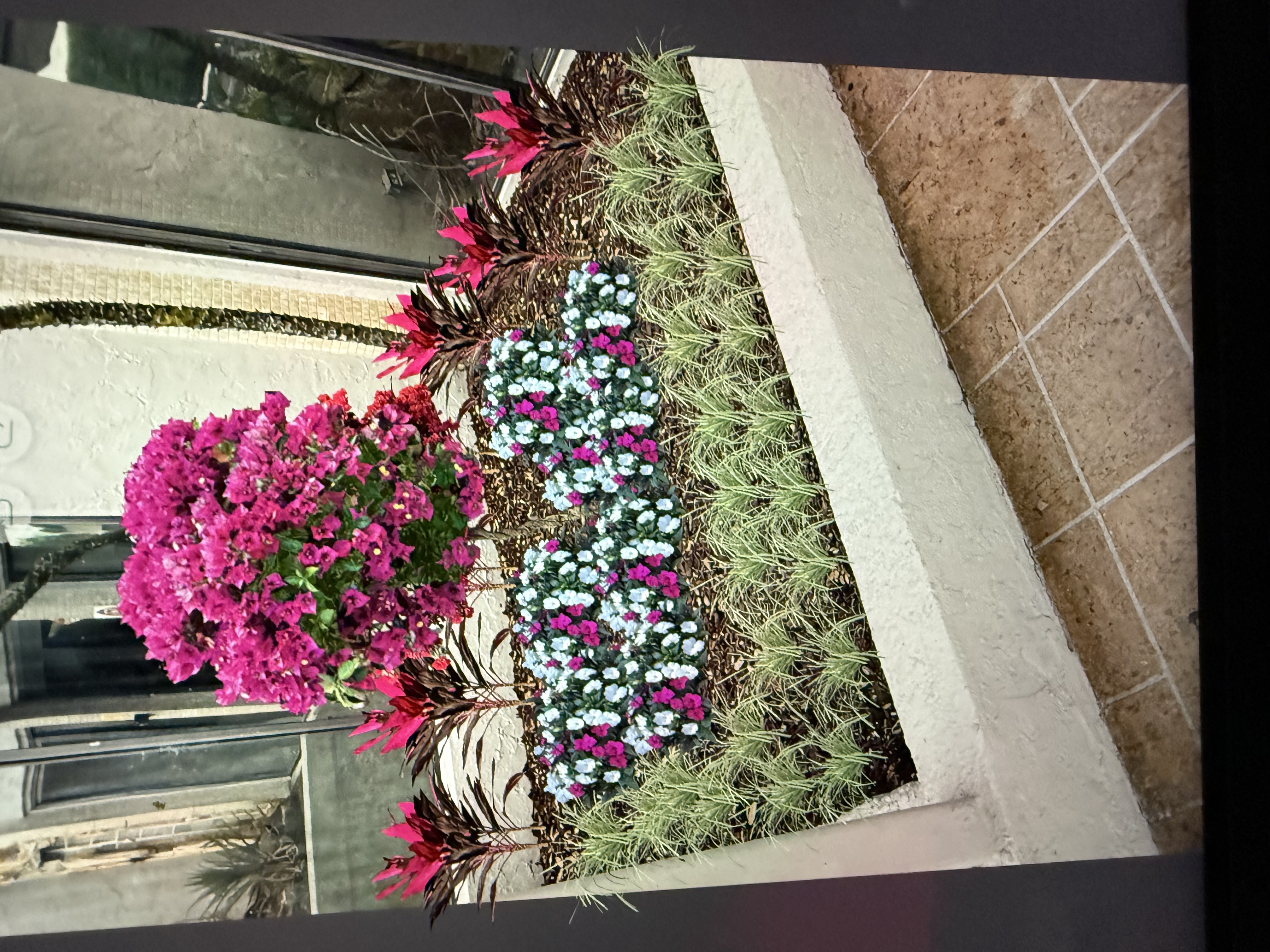 Vibrant bougainvillea and colorful seasonal flower bed installation at a Florida property