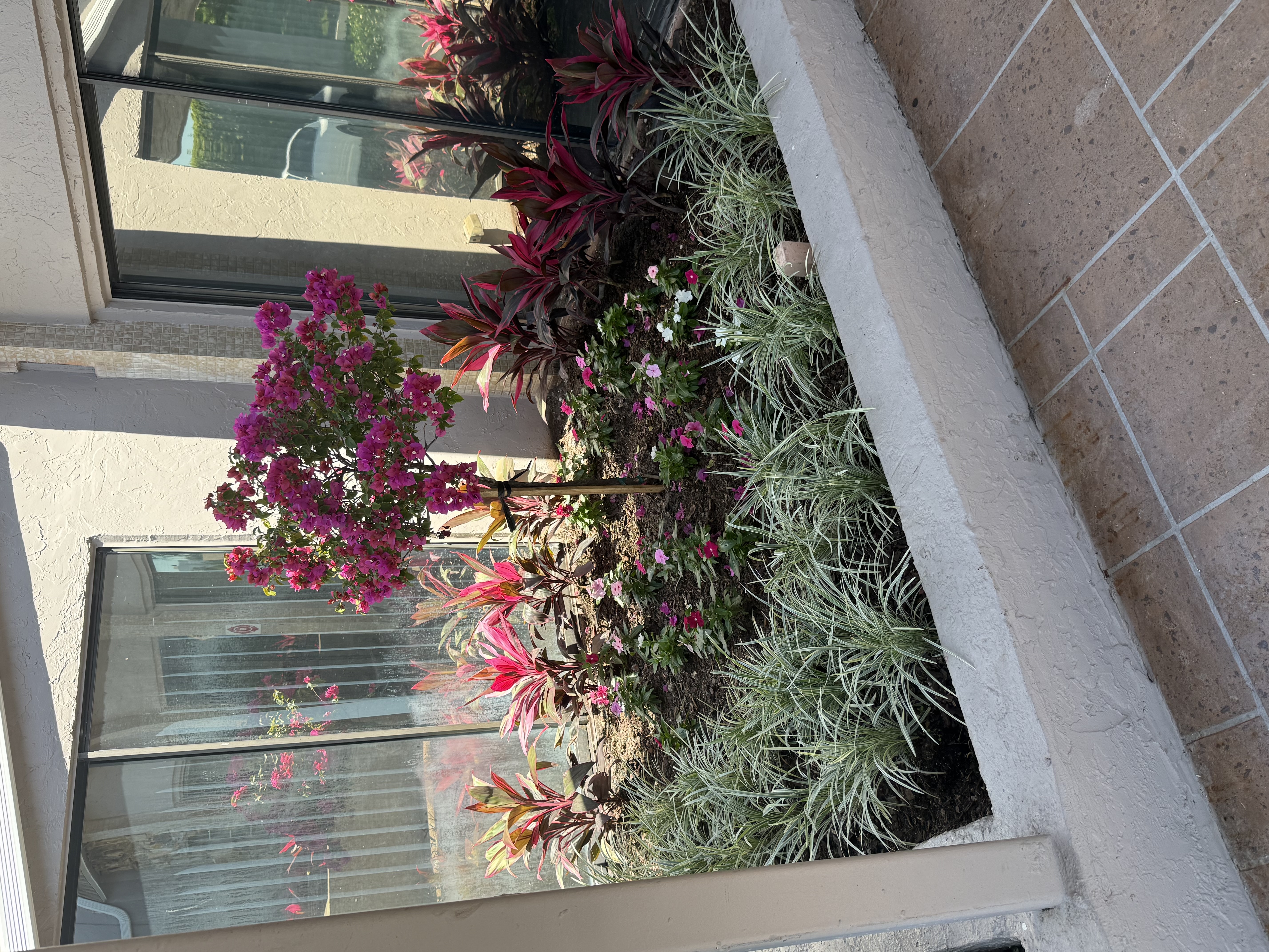 Colorful tropical planting bed with bougainvillea and bromeliads at a Florida commercial property