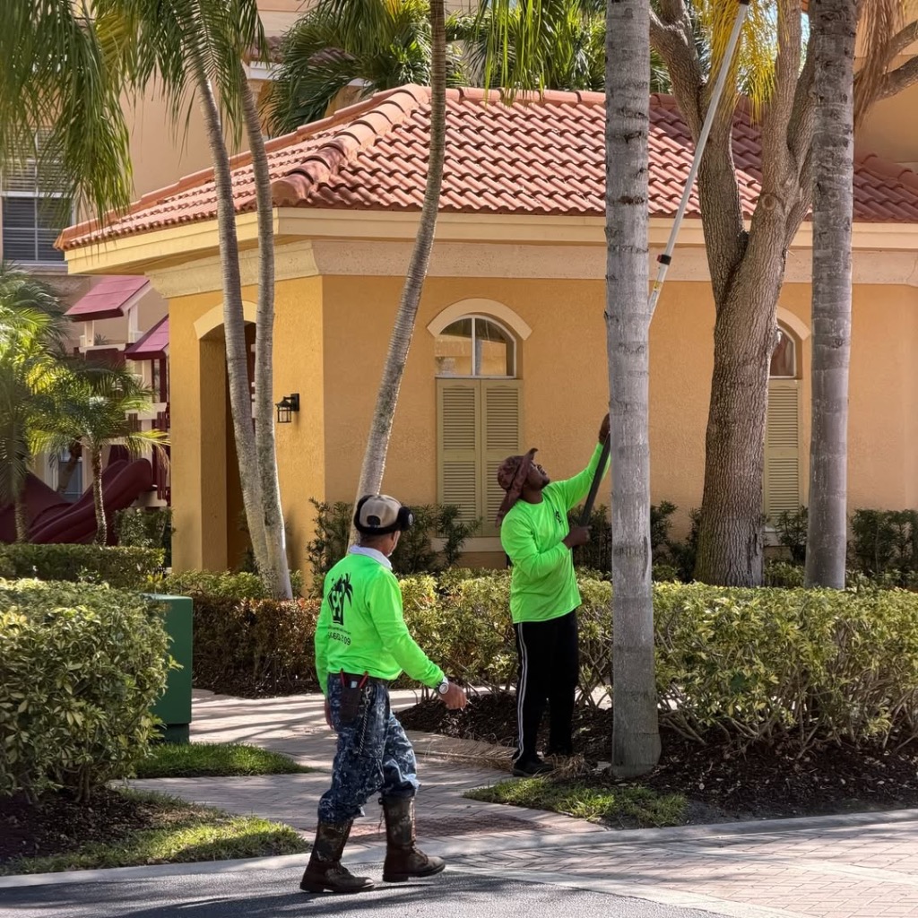 SPS crew trimming palm trees at an HOA community in South Florida